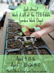 CEU EDIBLE COURTYARD VOLUNTEER WORKDAYS