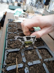 Students in "Organic Gardening Practicum" class welcome spring 